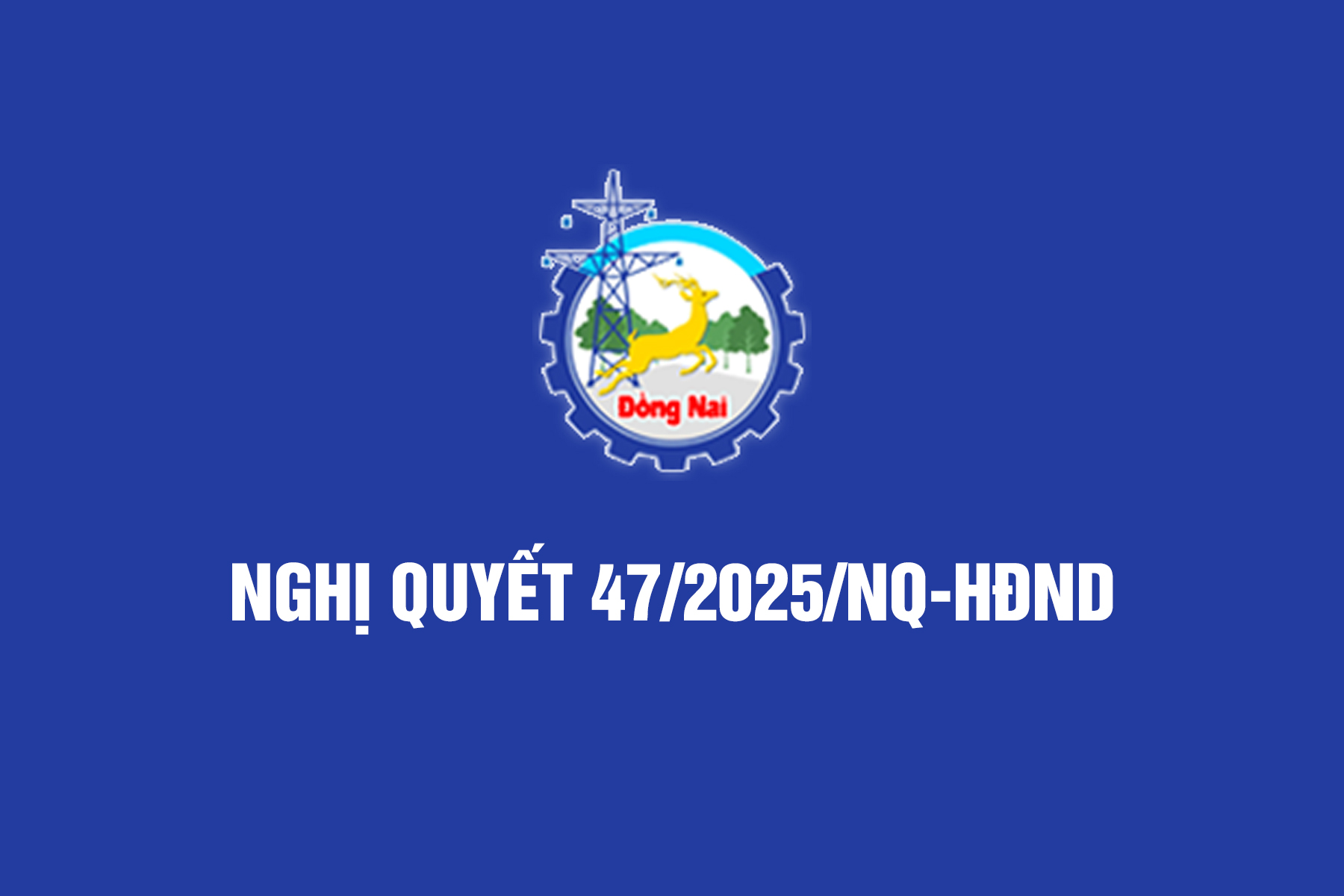 Triển khai Nghị quyết số 47/2025/NQ-HĐND ngày 10/12/2025 của HĐND tỉnh Đồng Nai
