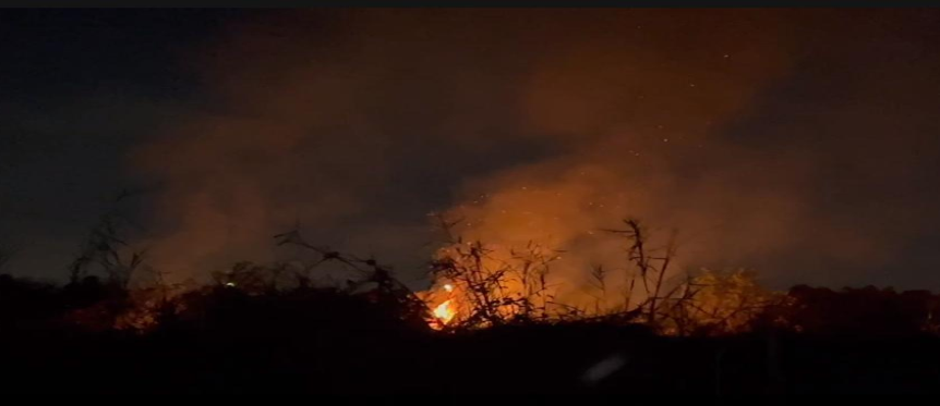 Cháy thực bì tại tổ 16 Khu phố Tân Lập ngày 15/02/2026